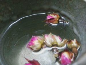 Hương trà