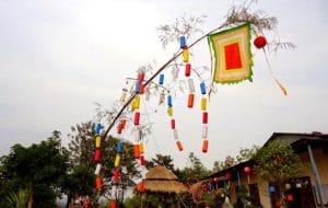 Cây nêu